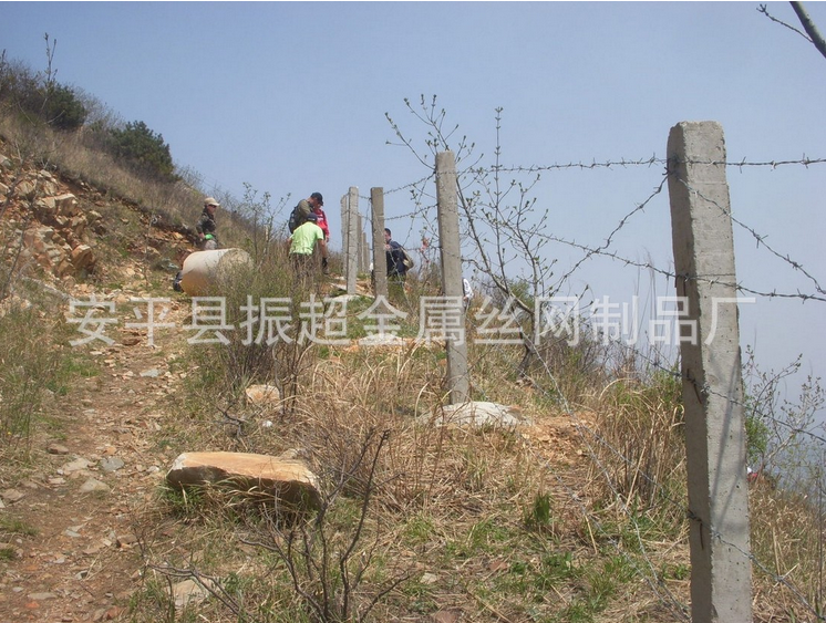 隔離用鐵絲網(wǎng) 隔離用鐵絲網(wǎng)規(guī)格