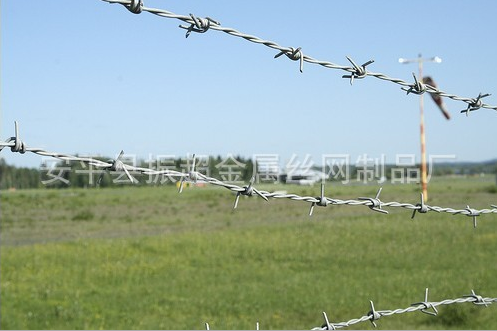 熱鍍鋅刺繩 有刺的鐵絲-http://m.985azk.cn