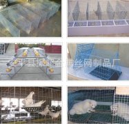 養(yǎng)殖電焊網(wǎng)