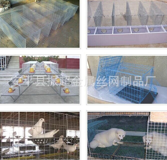 養(yǎng)殖電焊網(wǎng)  安平縣振超金屬絲網(wǎng)制品廠-m.985azk.cn