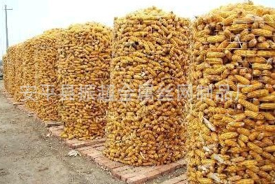 圏玉米電焊網(wǎng) 電焊網(wǎng)-m.985azk.cn