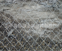 坡體防護(hù)勾花網(wǎng)