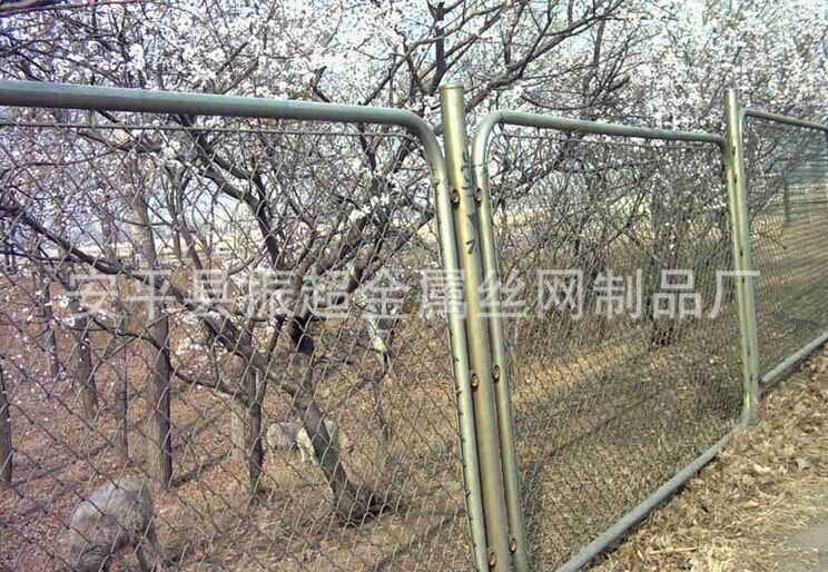 種植勾花網(wǎng) 安平縣振超金屬絲網(wǎng)制品廠-m.985azk.cn