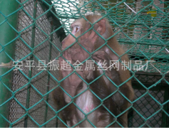 養(yǎng)殖勾花網(wǎng)