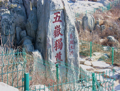 景區(qū)護(hù)欄網(wǎng)