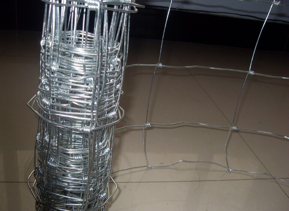 環(huán)繞形鐵絲網(wǎng) 養(yǎng)牛鐵絲網(wǎng) 草原鐵絲網(wǎng)-安平縣振超金屬絲網(wǎng)制品廠