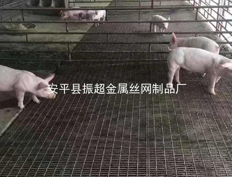 鐵絲網(wǎng)保育床，鐵絲網(wǎng)產(chǎn)床-m.985azk.cn