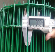 圈雞鴨鵝用鐵絲網(wǎng)推薦