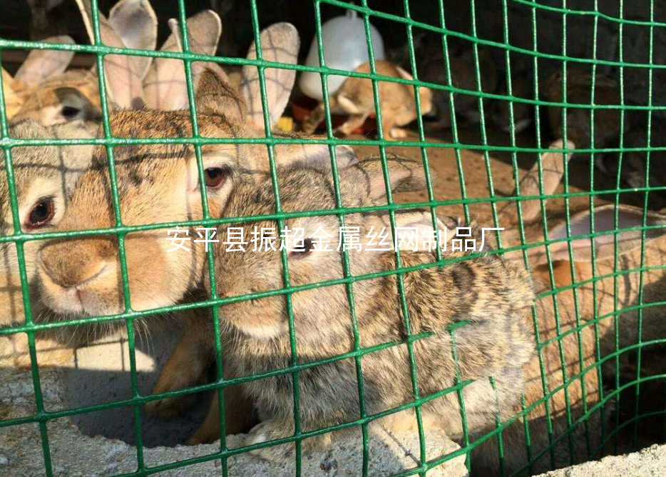 養(yǎng)殖鐵絲網(wǎng)，綠皮鐵絲網(wǎng)-m.985azk.cn